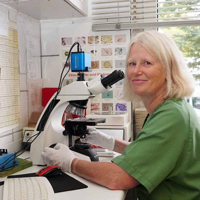 Tierarzt Dr. Delorme - Praxiseinblicke