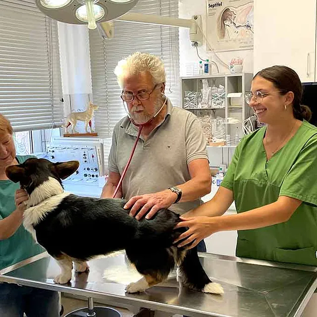 Tierarzt Dr. Delorme - Praxiseinblicke