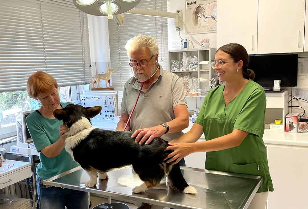 Tierarzt Dr. Delorme - Praxiseinblicke