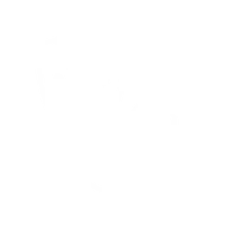 Diagnostik